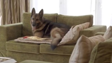 Едно от най-богатите кучета продава старо имение на Мадона за $32 млн. (+ВИДЕО)