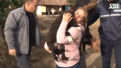 Три години затвор грозят мъжа от Мъглиж, измъчвал зверски куче