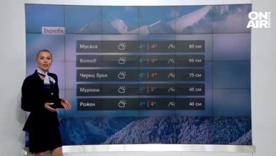Централна прогноза