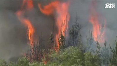 Огромен пожар в Нова Зеландия изпепели близо 2000 хектара гора