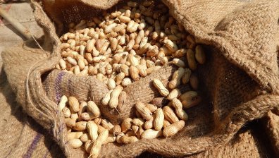 Ядете повече фибри, но пак сте подути? Ето къде е грешката