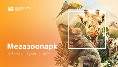 Документалната поредица „Мегазоопарк“ стартира премиерно в ефира на Bulgaria ON AIR 