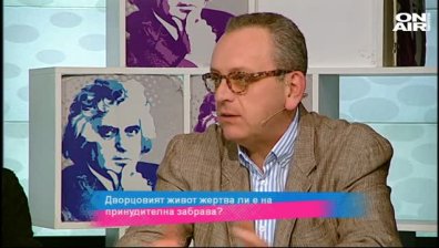 Българският евродепутат - безгласна буква ли е