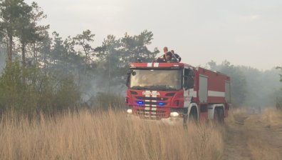 Специална ивица ще предпазва гората покрай Предела и Разлог от пожари