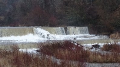МОСВ предупреди за повишения на речните нива заради обилните валежи