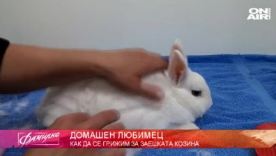 98% от хората имат изместен атлас