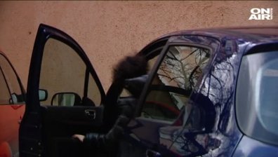 Нова стратегия за измами в столицата: Мъже заплашват жени шофьорки