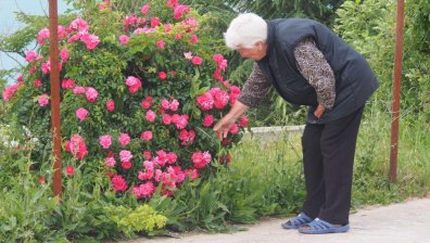 "Кутията на Пандора": Държавата обявява война на схемата "стаи под наем"