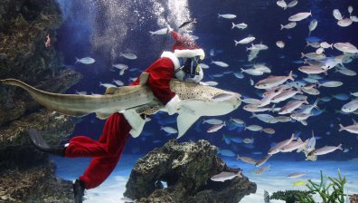 Дядо Коледа в морско приключение - плува с риби и акули (СНИМКИ)