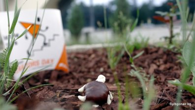 Остави асансьора, качи се по стълбите