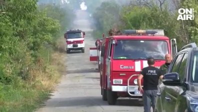 Овладяха пожара в Старозагорско, засегнати са 800 декара гори