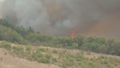 Мъж загина при горене на сухи треви и храсти край Кюстендил