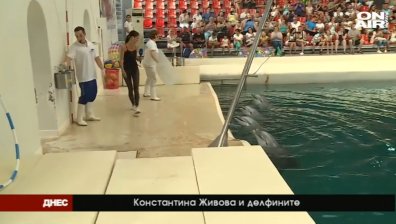 Делфините Йоана и Бимбо пяха за ДНЕС