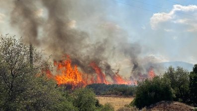 Хеликоптери и самолети се борят с огнена стихия в Кератеа