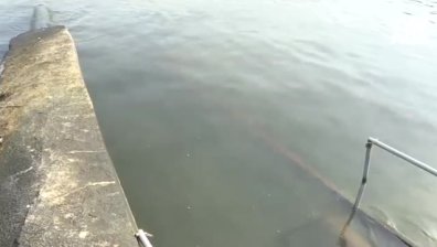 РЗИ и хотелиери опровергаха данните на СУ и "Активни потребители" за мръсна вода по Южното Черноморие