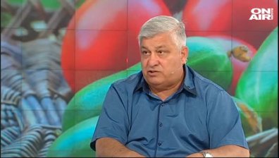 95% oт зеленчуците на пазара са вносни