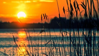 Август започва с опасни горещини, живакът минава 41°