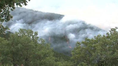 250 души успяха да овладеят пожара край Кресна