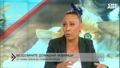 Домашните любимци &ndash; от голяма любов до голямо презрение