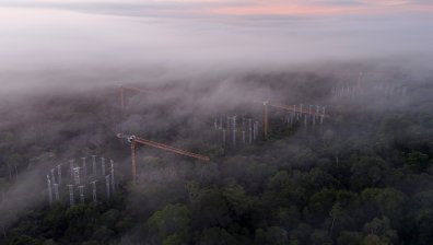 Трябва да премахнем въглерода, за да избегнем голяма екологична катастрофа