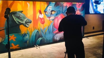 Изложба събра най-добрите графити артисти