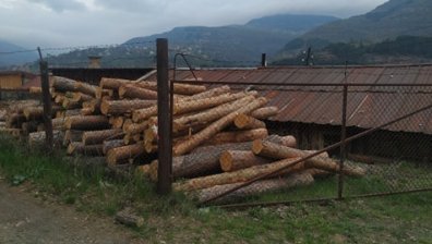 Мъж застреля свой колега в Своге и се самоуби (ОБНОВЕНА)