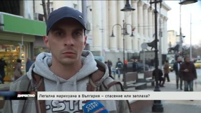 Легална марихуана в България &ndash; спасение или заплаха