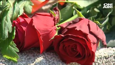 Поток от хора се вие пред френското посолство в София