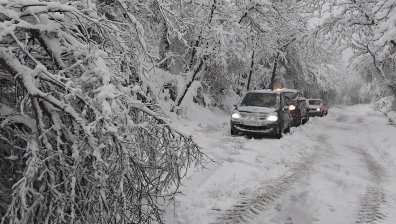 Лошо време и обилен сняг: Аварирали коли, паднали дървета, затвориха АМ "Тракия" (+ВИДЕО)