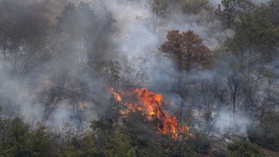 Пожар между РСМ и Гърция затвори основния граничен пункт