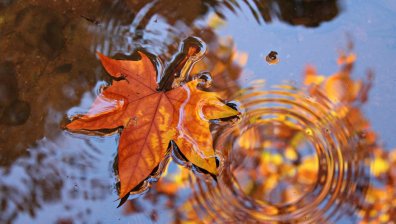 Хладен четвъртък с облаци и дъжд в много райони