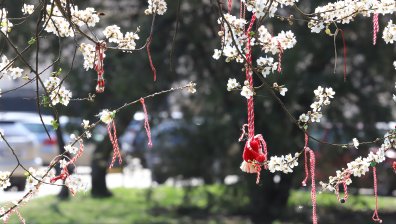 Благородно: Мартеници даряват надежда за по-добър живот на болно дете