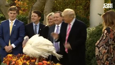 Тръмп помилва две пуйки в навечерието на Деня на благодарността