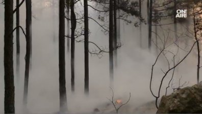 Ужасът в Кресна продължава! Два вертолета Ми-17 участваха в гасенето на огъня