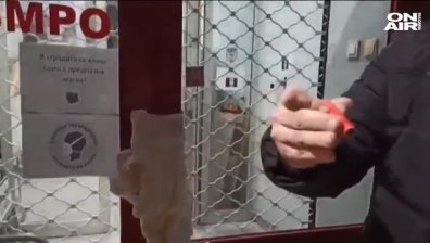 Памперси по централата на ВМРО, от партията отвърнаха с маркуч с вода