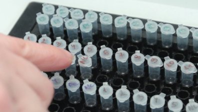 МЗ е осигурило 350 000 ваксини срещу грип, 80 % от тях вече са поставени