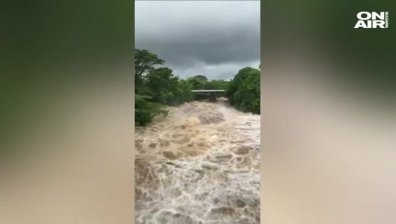 Ураганът "Лейн" донесе поройни дъждове и бурни ветрове на Хаваи