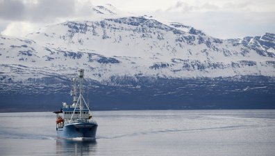 Български моряци паднали зад борда в Норвежко море