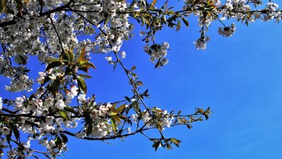 Съботата ще бъде слънчева, на места живакът ще удари 30&deg;