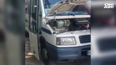 Влечуги накараха Благоевград и Дупница да изтръпнат!