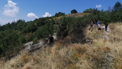 Два пожара бушуват в Асеновградско, общината обяви частично бедствено положение