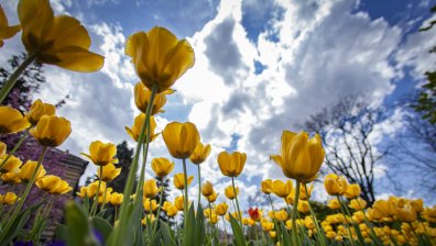 Времето във вторник: Топло, с облачност и слаби превалявания