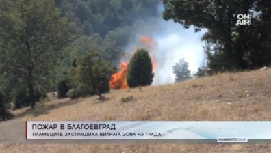 Пожар в Благоевград изгори лозя и градини