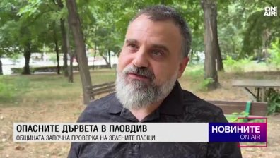 Обедна емисия