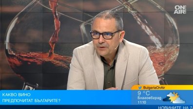 Виното в България: Совиньон блан е най-популярно, износът спада постоянно