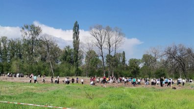 "Новата гора на София": Засадиха 4 600 широколистни дръвчета