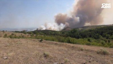 Големият пожар край Изворище е овладян