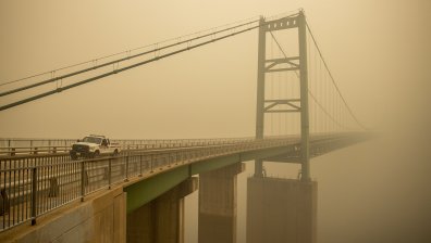 9 жертви на пожарите в САЩ, сред тях и момче на годинка