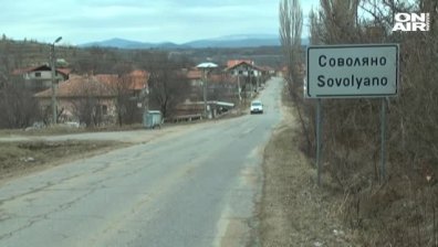 Ужас в Кюстендилско: Откриха 11 кучета и котка отровени до детска градина