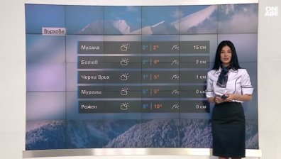 Централна прогноза